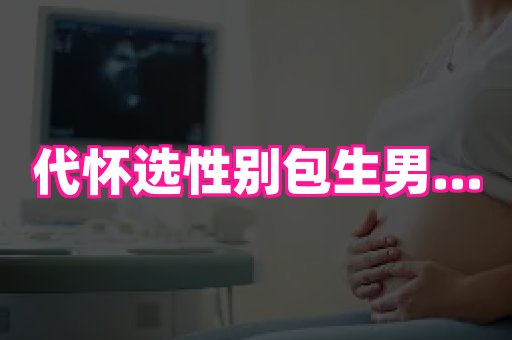 生殖助孕网站 2