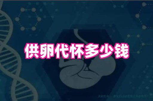 生殖助孕网站 4